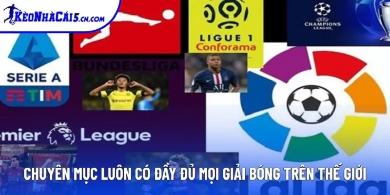 Chuyên mục luôn có đầy đủ mọi giải bóng trên thế giới Chuyên mục luôn có đầy đủ mọi giải bóng trên thế giới