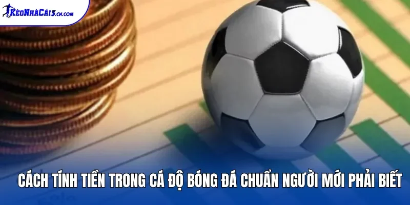 Cách tính tiền trong cá độ bóng đá